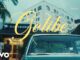 FOLA - golibe