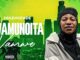 Hulengende Zw - Zvamunoita Vamwe - Hulengende [ Zvikwapuro Riddim ] Tsvimbo Mutauro Album